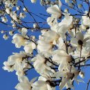 우리슈퍼 이미지