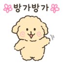 도그다움 이미지