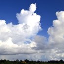 하늘이 준 선물 이미지