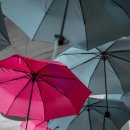 눈에띄다 이미지