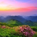 아름다운삶 이미지