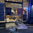 율하천L 이미지