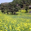 제주평화박물관(휴관) 이미지