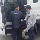 충남청과 이미지