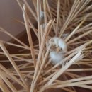 해수농장 이미지