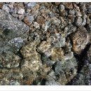 보석상자 이미지