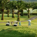 티업골프시티 이미지