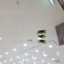 레노마키즈와페르미츠 이미지
