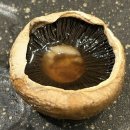 오봉로 | 대구 침산동 한식 맛집 룸식당 갈비살 맛있는 창미고깃집 방문후기