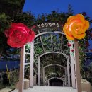 형산강 장미원 이미지