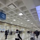제주 오메기떡 맛집 제주도 춘심이네 제주공항 새길점 공항배달 선물 편리하게