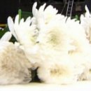 삼가파출소 이미지