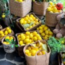 숲속카페브런치 | 서울 근교 브런치 카페 숲속의 제빵소 포천 나들이 후기