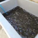 논뚜렁추어탕 이미지