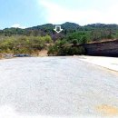 산야초체험관민박 티스토리
