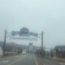 공주 힐스포레, 비지니스객실과 바베큐 후기