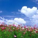 형제광택 이미지