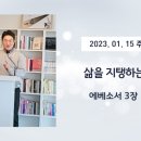 주일프라자 이미지