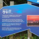 정동진놀자 이미지