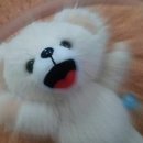 오씨주택 이미지