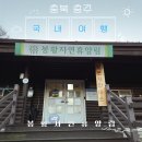 봉황자연휴양림 | 충북 충주] 숲속에서 하루 쉬어가기, 봉황자연휴양림 소나무집 숙박 솔직 후기 (충주여행, 국내여행지추천)