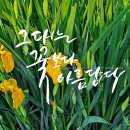 그대는꽃보다 이미지