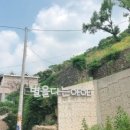 별을 다는 아이 이미지