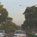 탐라지오 이미지