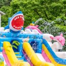 포천 자연과사람들 애견동반펜션 이미지