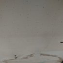 털보벽지 이미지