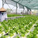 첨단농장 이미지