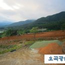 오곡광산 이미지