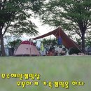 안성면070 네이버블로그