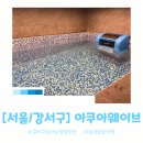 물놀이장 화장실 | 서울 강서구 실내수영장 아쿠아웨이브 후기 파도가 나오는 실내물놀이장