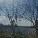 금천중앙교회 이미지