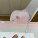 네일앤초이