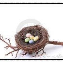 마들사회복지관 이미지