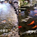 이노티안경 광양중마점 이미지