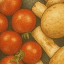 씨제이(C.J)홈마트 | 음식알러지검사 만성적인 염증의 원인일 수 있다?