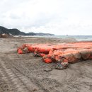 맹방해변 이미지