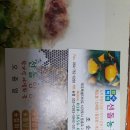 선들농장 Daum카페