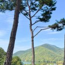 초록여울 캠핑장 이미지