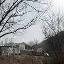 까미노풀빌라 | 온수풀숙소 / 홍천풀빌라 / 까미노 데 플로레스타 힐링 후기:)