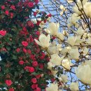 예당출장소(공공도서관) | [공지] 보성농어촌공공도서관