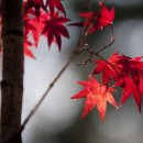 나래체육관 이미지