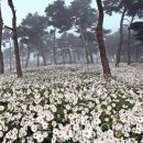 내장산208정읍펜션 이미지