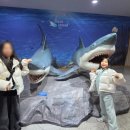 연동365일의원 이미지