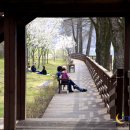 나무테크 이미지