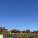 도라산농장 이미지