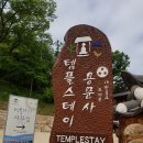 스테이 들락2